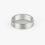 The Flat Band in Platinum 6mm